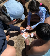 Piscina De Huara Reunió A Niños De Jaiña Y Chiapa En Jornadade Bienestar Y Convivencia Familiar