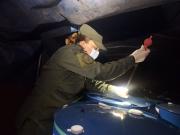 Presentaron documentación falsa e intentaron trasladar 35 toneladas de Acetato de Etilo sin las medidas de seguridad correspondientes