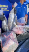 Donan una tonelada de pescado a 15 hospitales