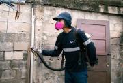 Dengue en Guayaquil: barrios con más casos y cronograma de fumigación semanal