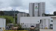Los ingresos de la compañía de productos lácteos Colanta crecieron un 13,2 % en el 2025