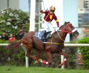 El campeón del Derby Nacional 2024 confirma su vigencia y representará al Perú en la gran cita continental