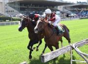 Obataye, el mejor caballo del continente cayó derrotado en prueba clasificatoria para el Gran Premio Latinoamericano (G1)
