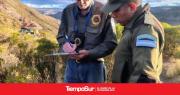 Provincia y Gendarmería intensifican controles y sancionan la pesca ilegal