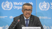 Señalan que si Argentina se retira de la OMS “será menos segura”