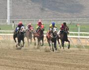 Conoce el ejemplar con que esta yunta puede salir de perdedor y convertirse en tremendo batacazo para la carrera no válida