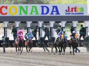 La Rinconada 2026: ¿Feedstock superará un reto histórico en la segunda válida para el 5y6 dominical? Aquí te lo contamos