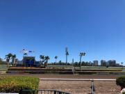 El Gran Final: el Championship Meet cierra la próxima semana con el festival del Florida Derby Day en Gulfstream Park