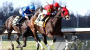 Mercante a defender su jerarquía en el Kentucky Cup Classic Stakes G3 sobre la Tapeta de Turfway Park