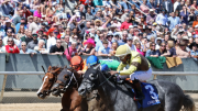 Arkansas Derby (G1): Los probables para la millonaria prueba de 200 puntos
