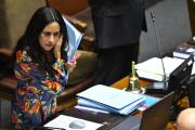 Gobierno bajo presión: senadora Núñez admite que precio del combustible es el gran desafío de Kast