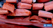 Indagan millonario robo de más de una tonelada de salmones destinados para estudiantes en Chiloé