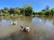 El Parque El Paraíso: atractivo natural con retos en seguridad
