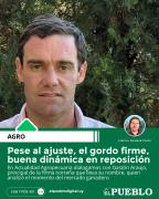 Pese al ajuste, el gordo firme, buena dinámica en reposición