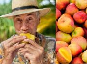 El alimento que ayuda a regular el azúcar y que debería consumir después de cada comida: también es rico en magnesio