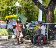Flores amarillas activaron las ventas en el centro de Maracay