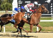 Doblete para Flavien Prat: Consigue los 100 puntos del Louisiana Derby G2 con Emerging Market