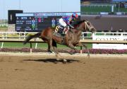 Life of Joy se queda con el Fair Grounds Oaks y celebra los 100 puntos para Kentucky