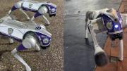 Chacao incorpora perros robots para fortalecer la labor policial (+Video)