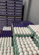 Le robaron una fortuna a una familia de hueveros