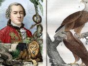 Buffon, el francés que se adelantó a Darwin: publicó sus ideas sobre la evolución 100 años antes de la revolucionaria teoría científica