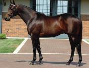 La huella eterna de un campeón: El impacto de Bernardini a 23 años de su origen