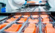 Alerta por millonarios aportes noruegos a comunidades lafkenche para frenar salmoneras