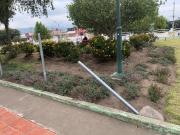 Mayor mantenimiento de parque