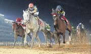 Forever Young a confirmar que es el mejor del mundo en la Dubai World Cup
