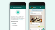 WhatsApp prueba función que autoelimina mensajes 15 minutos después de su lectura