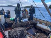 En procedimiento conjunto Armada y Sernapesca incautan más de 2 mil kilos de recursos del mar
