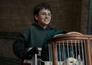 Lanzan primer tráiler de la serie de Harry Potter: Aquí los detalles y fecha de estreno