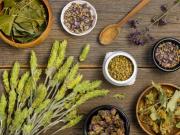 Esta planta milagrosa se usa para combatir enfermedades virales: este es el secreto para prepararla