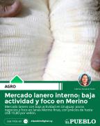 Mercado lanero interno: baja actividad y foco en Merino
