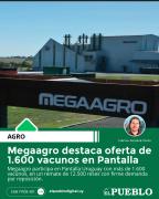 Megaagro destaca oferta de 1.600 vacunos en Pantalla