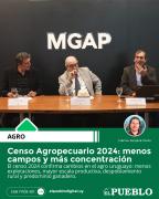 Censo Agropecuario 2024: menos campos y más concentración