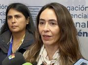 Delegada destaca nueva Ley de Emergencia Energética: Habla bien de nuestra institucionalidad