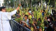Domingo de Ramos: ¿Cuáles son horarios de misas en la catedral?