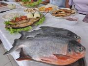 Piscicultores de Santa Fe impulsan la 8ª Feria del Pescado