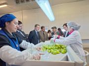 Subsecretario de Agricultura visita sitio de inspección fitosanitaria de Teno para verificar exportaciones hortofrutícolas a EE.UU.