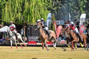 Polo, vendimia y atardecer en Neuquén: el color de la previa antes del gran cierre de Copa Los Hermanos en La Sarita