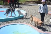 La Paz inaugura el parque canil más grande de la ciudad y fortalece el bienestar animal