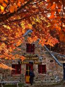 Semana Santa en la Comarca Andina: propuestas para disfrutar del otoño entre bosques, ferias y refugios