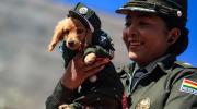 La Pasarela Guau, un homenaje de la Policía Boliviana a los agentes caninos y mascotas