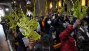 Miles de fieles celebran el Domingo de Ramos; el presidente Rodrigo Paz asistirá a misa en la Catedral