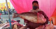 Venta de pescado y mariscos se activa por Semana Santa en La Paz
