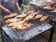 Tomatitas realiza su primera Feria del Pescado el viernes 3 de abril