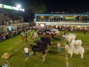 Del 8 al 12 de abril, lo mejor del campo se traslada a la ciudad con Agropecruz, Expoleche y Expopet 2026