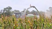 Santa Cruz encamina una cosecha “récord” de maíz