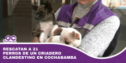 Rescatan a 21 perros de un criadero clandestino en Cochabamba